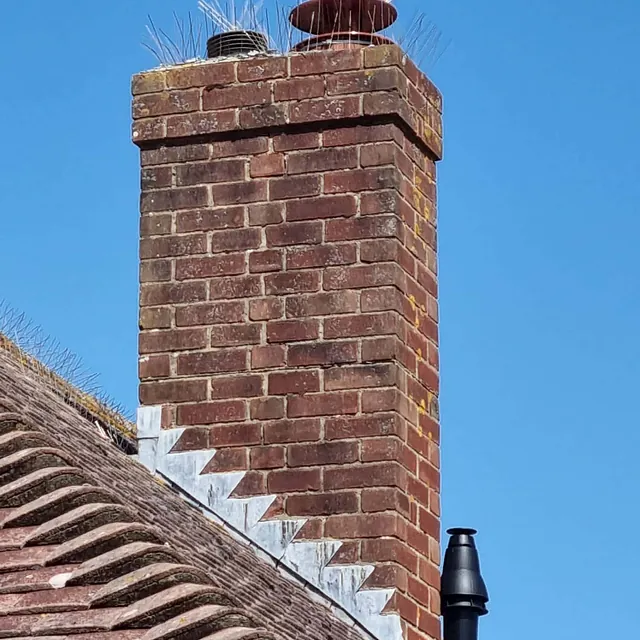 chimney bird spikes